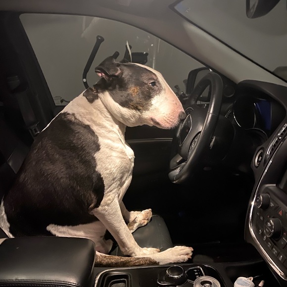 Meet your Posher, Lori - Picture 1 of 2